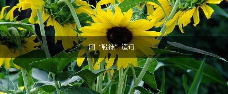 用“鞋袜”造句,第1张