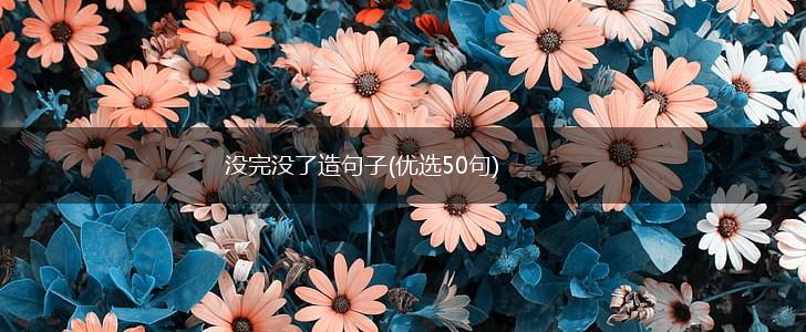 没完没了造句子(优选50句),第1张