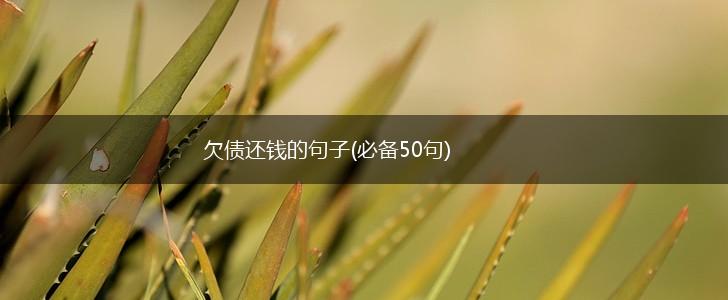 欠债还钱的句子(必备50句),第1张