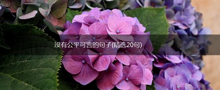 没有公平可言的句子(精选20句),第1张