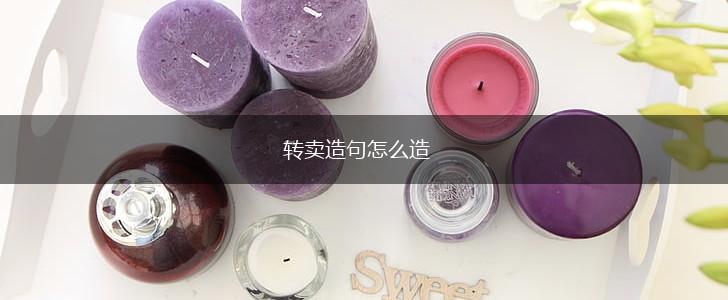 转卖造句怎么造,第1张