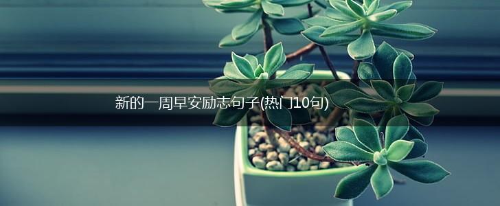 新的一周早安励志句子(热门10句),第1张