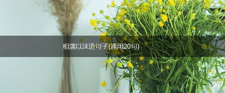 相濡以沫造句子(通用20句),第1张