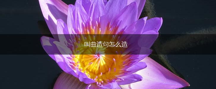 叫曲造句怎么造,第1张