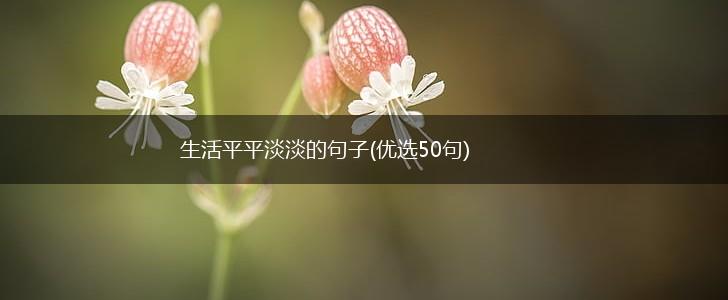 生活平平淡淡的句子(优选50句),第1张