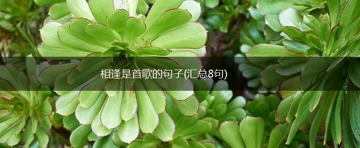 相逢是首歌的句子(汇总8句),第1张