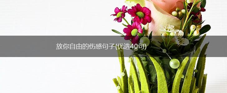 放你自由的伤感句子(优选40句),第1张