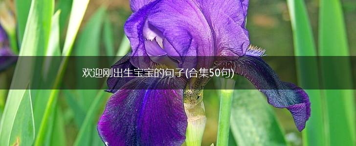 欢迎刚出生宝宝的句子(合集50句),第1张
