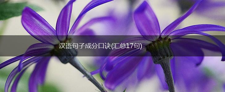 汉语句子成分口诀(汇总17句),第1张