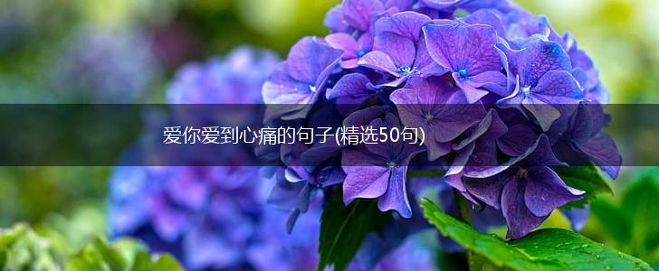 爱你爱到心痛的句子(精选50句),第1张