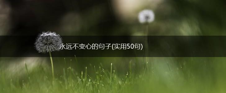 永远不变心的句子(实用50句),第1张