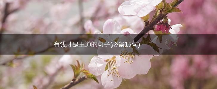 有钱才是王道的句子(必备15句),第1张