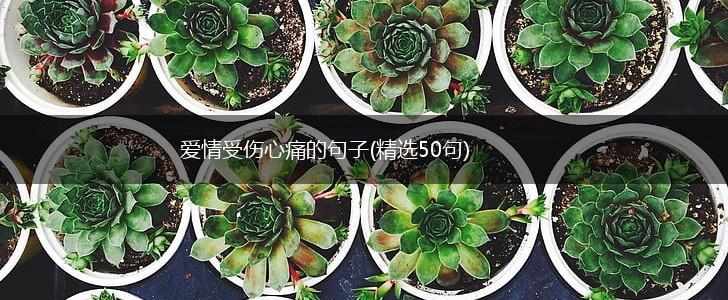 爱情受伤心痛的句子(精选50句),第1张