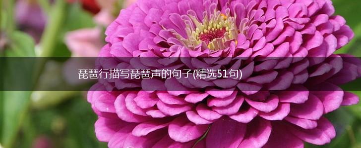 琵琶行描写琵琶声的句子(精选51句),第1张