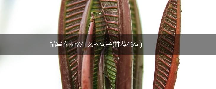 描写春雨像什么的句子(推荐46句),第1张