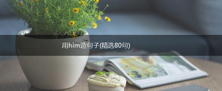 用him造句子(精选80句),第1张