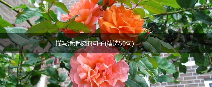 描写滑滑梯的句子(精选50句),第1张