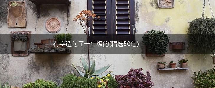 有字造句子一年级的(精选50句),第1张