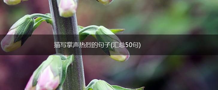描写掌声热烈的句子(汇总50句),第1张