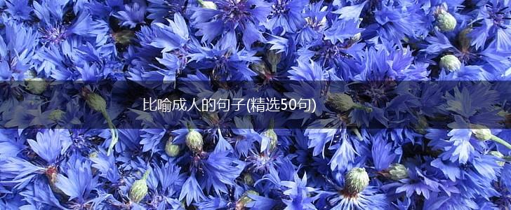 比喻成人的句子(精选50句),第1张