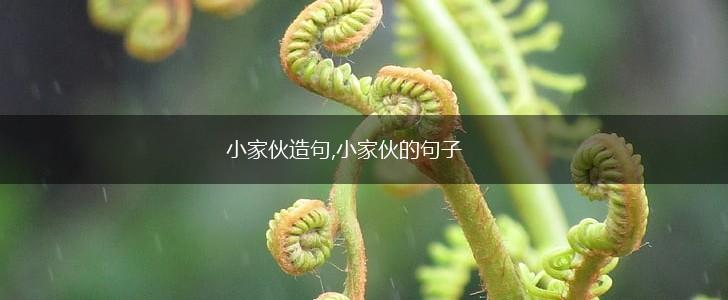 小家伙造句,小家伙的句子,第1张
