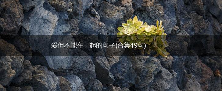 爱但不能在一起的句子(合集49句),第1张
