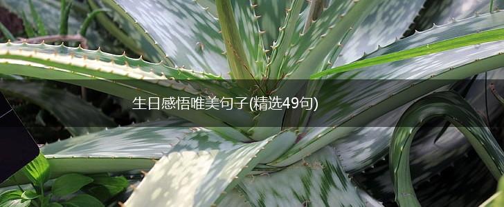 生日感悟唯美句子(精选49句),第1张