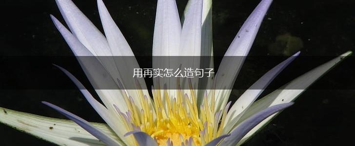 用再实怎么造句子,第1张 用再实怎么造句子,第1张