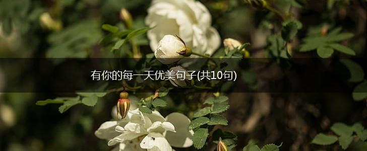 有你的每一天优美句子(共10句),第1张