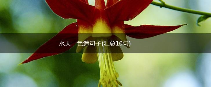 水天一色造句子(汇总10句),第1张