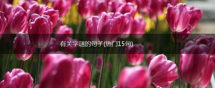 有关字谜的句子(热门15句),第1张