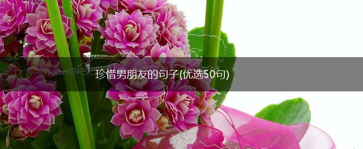 珍惜男朋友的句子(优选50句),第1张