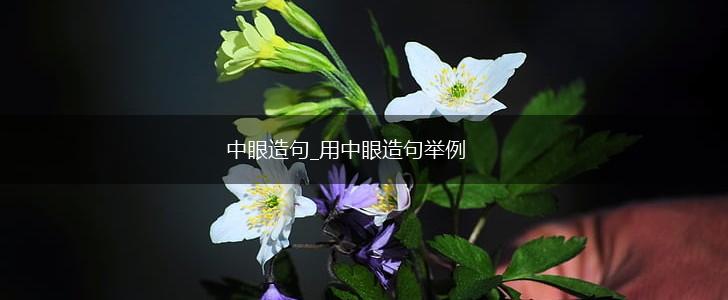 中眼造句_用中眼造句举例,第1张