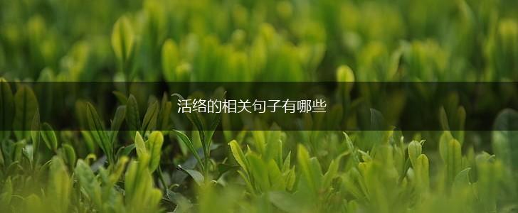 活络的相关句子有哪些,第1张