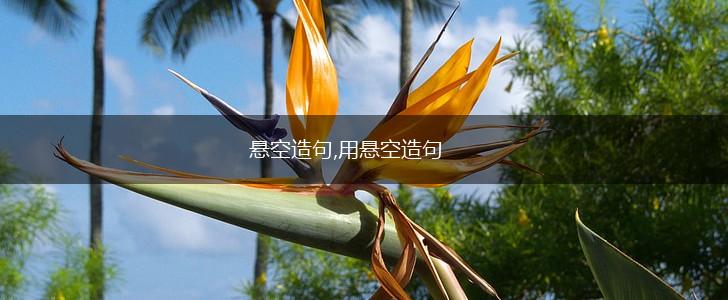 悬空造句,用悬空造句,第1张 悬空造句,用悬空造句,第1张