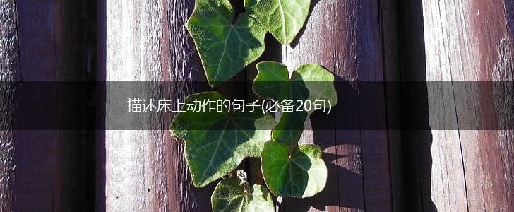描述床上动作的句子(必备20句),第1张