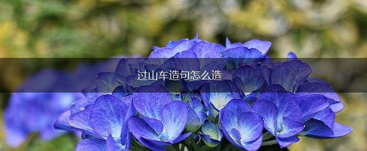 过山车造句怎么造,第1张