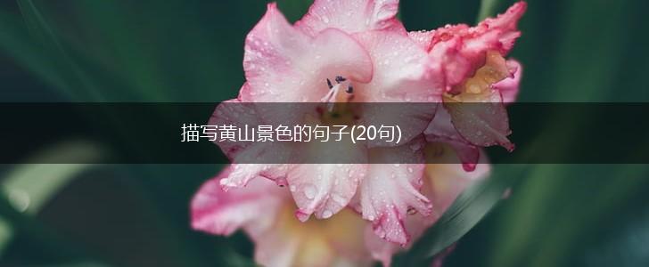 描写黄山景色的句子(20句),第1张