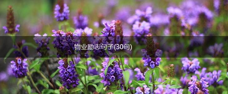 物业励志句子(30句),第1张