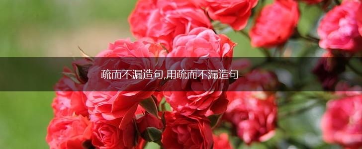 疏而不漏造句,用疏而不漏造句,第1张 疏而不漏造句,用疏而不漏造句,第1张