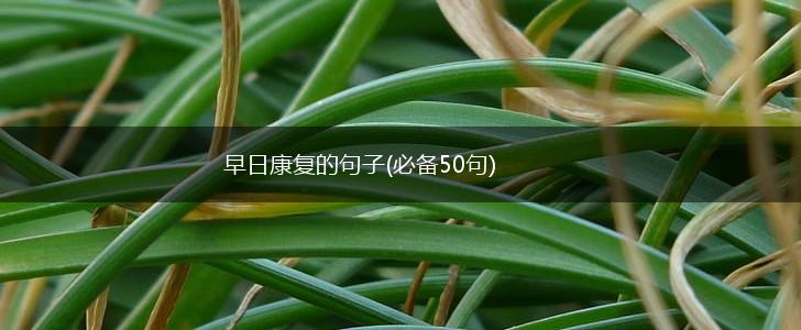 早日康复的句子(必备50句),第1张