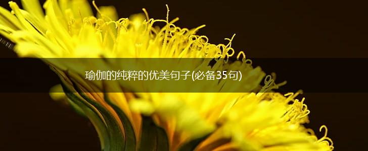 瑜伽的纯粹的优美句子(必备35句),第1张