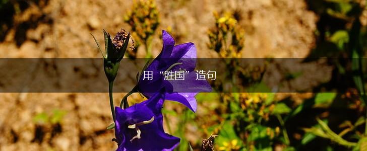 用“胜国”造句,第1张