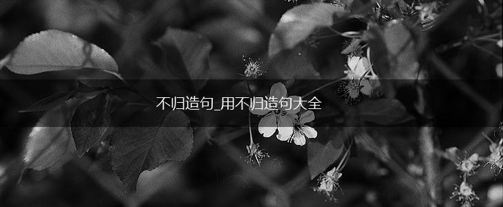 不归造句_用不归造句大全,第1张