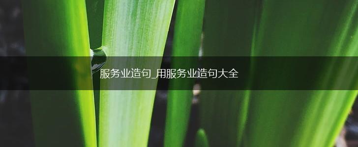 服务业造句_用服务业造句大全,第1张