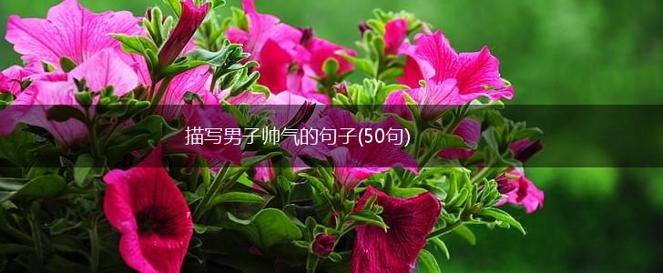 描写男子帅气的句子(50句),第1张