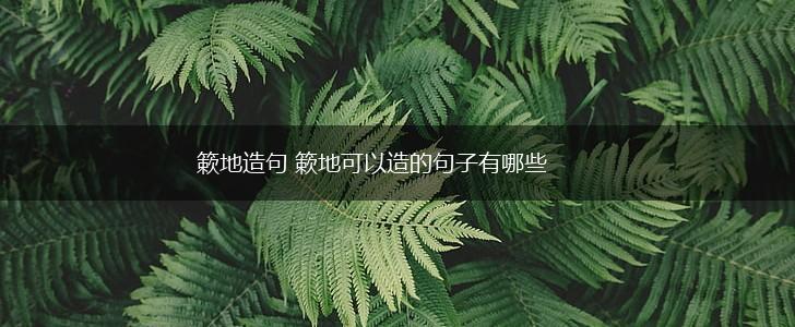 簌地造句 簌地可以造的句子有哪些,第1张