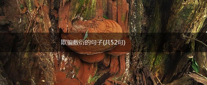 欺骗敷衍的句子(共52句),第1张