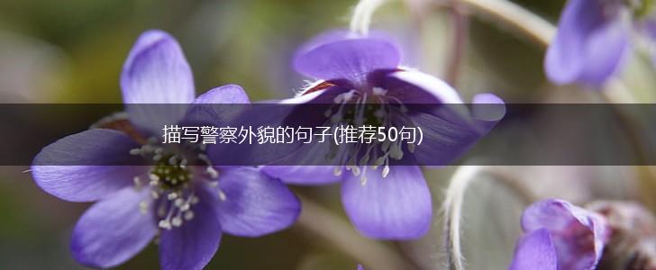 描写警察外貌的句子(推荐50句),第1张