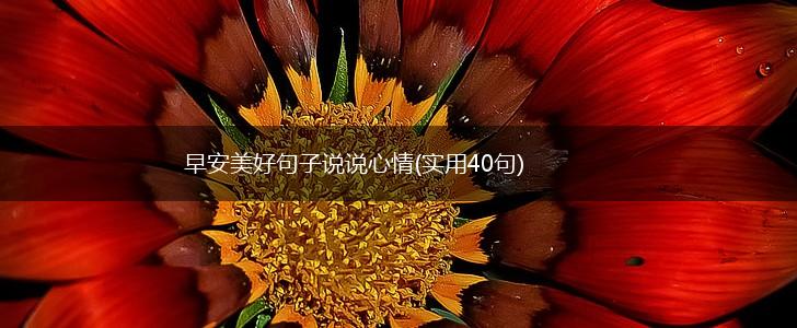 早安美好句子说说心情(实用40句),第1张